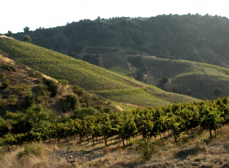 Valle del Cachapoal