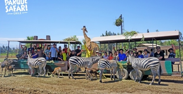 Fotogalería servicio