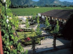 Ruta del Vino - Alto Cachapoal
